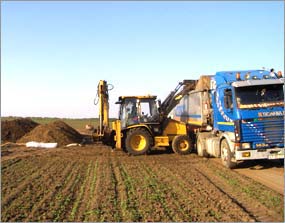 reconstructie ecologica