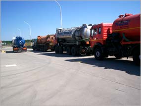 reconstructie ecologica